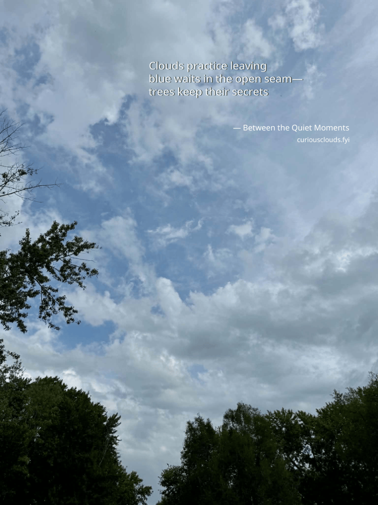 A patchwork morning sky above trees, overlaid with a haiku about clouds, blue sky, and the secrets trees keep.