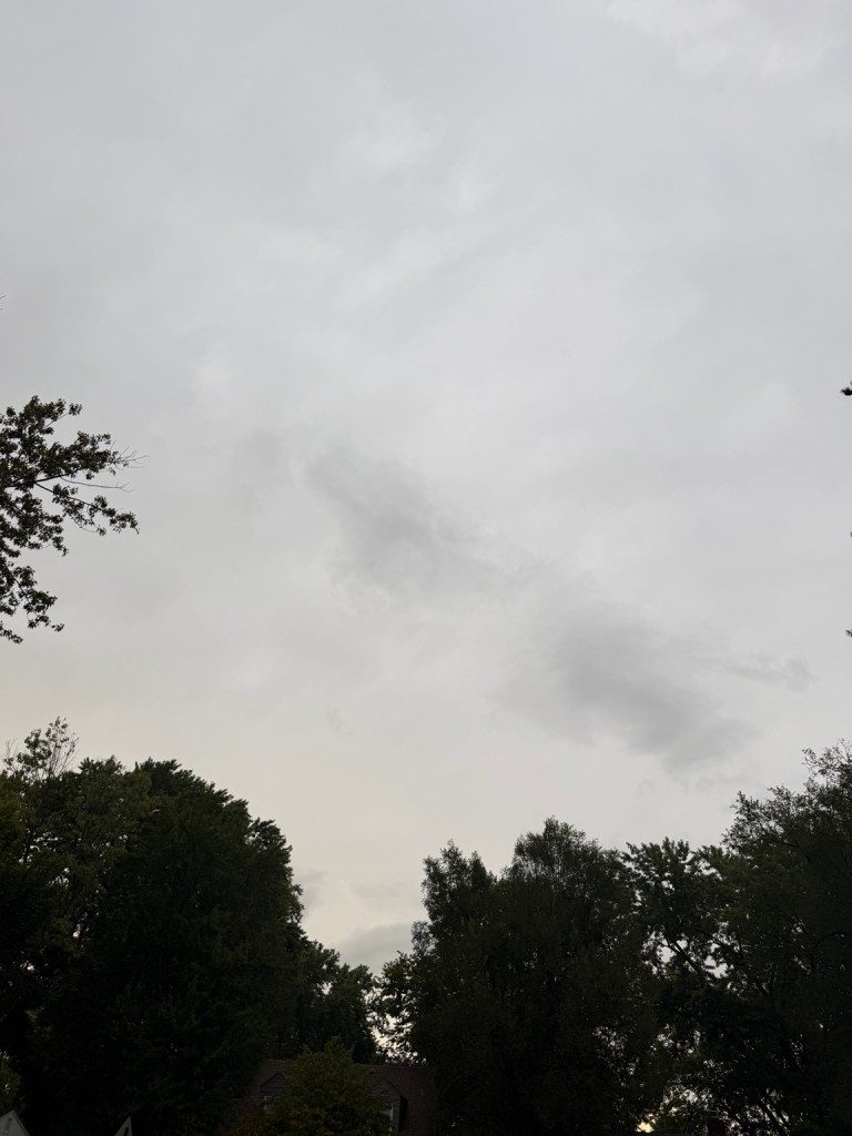 Soft gray stratiform overcast above trees in Raytown, Missouri at 6:08 PM on September 9, 2026.