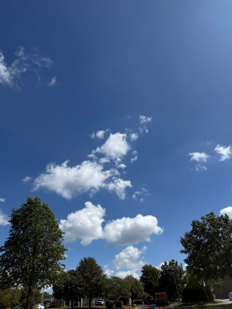 Small scattered white cumulus clouds surrounded by a broad blue sky over trees in Lee's Summit, Missouri