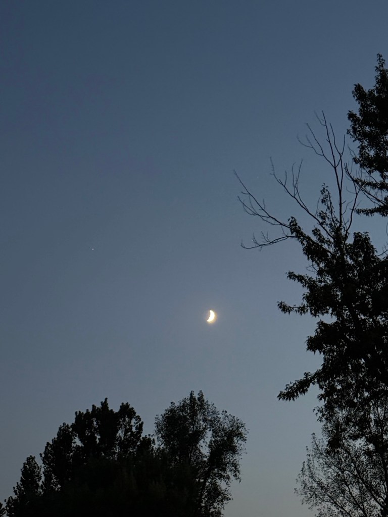 A bright crescent Moon and a small point of light in a dusky blue sky, framed by dark trees.