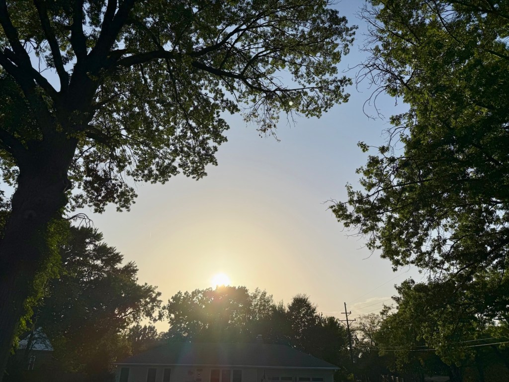 Low evening sun shining through trees over a Mission, Kansas neighborhood beneath a mostly clear sky.