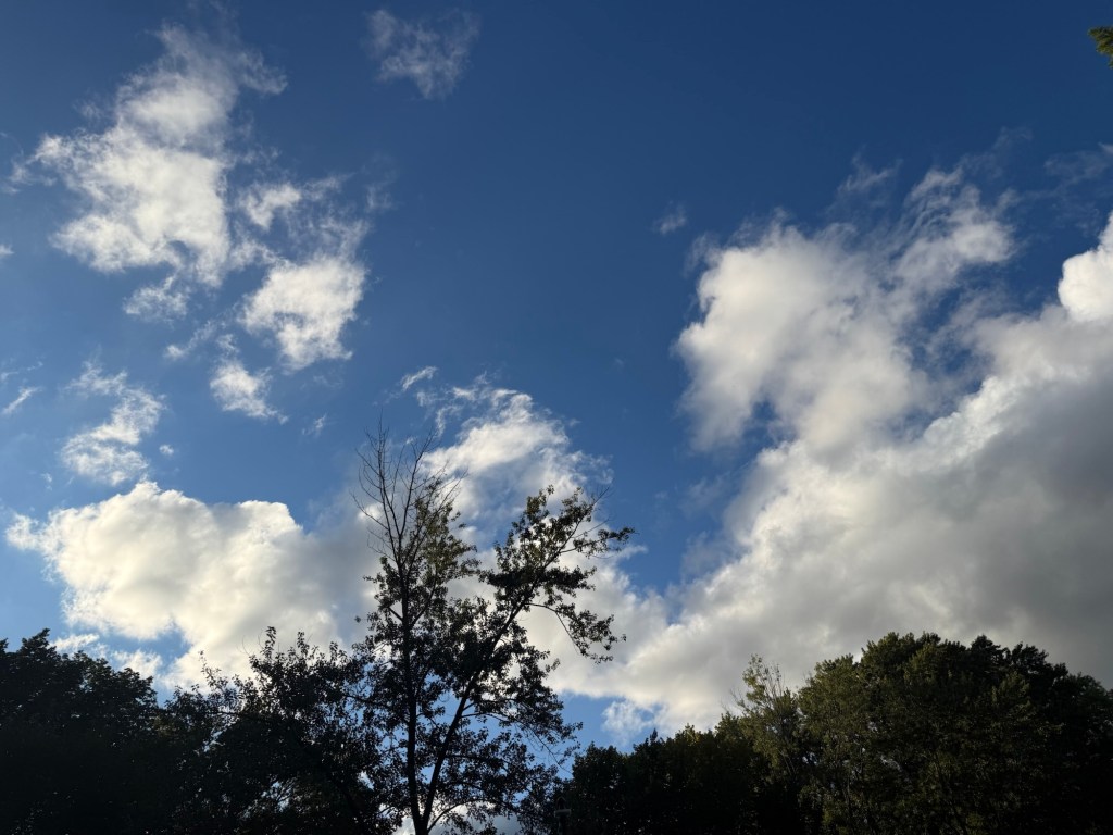 Blue evening sky with white clouds above trees in Raytown, Missouri