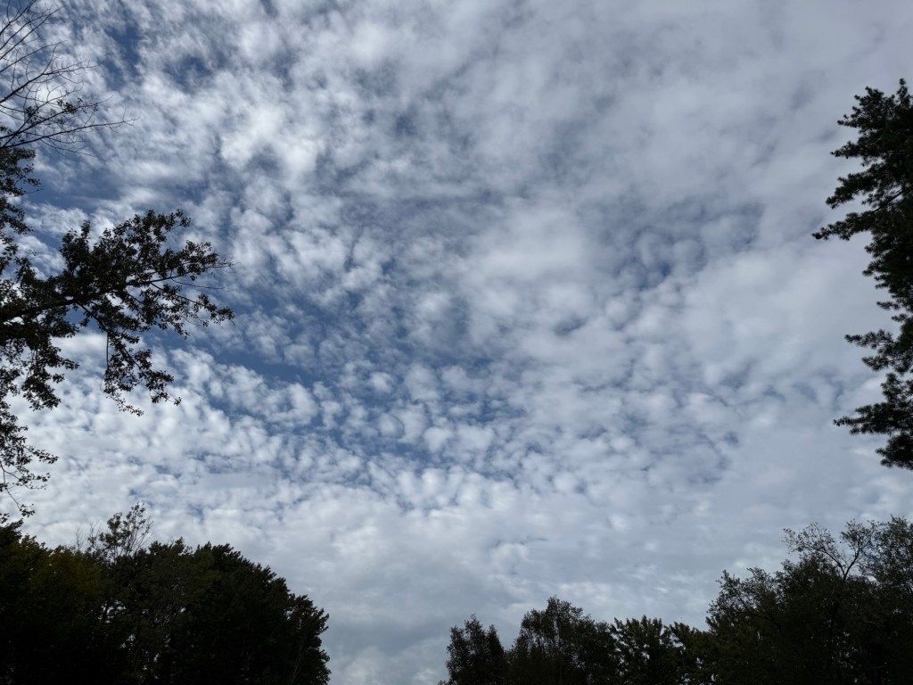 Textured white and gray cloudlets framed by trees at 5:15 PM in Raytown, Missouri.