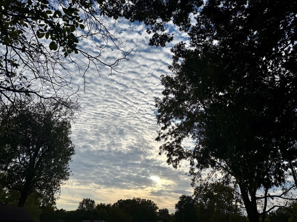 Textured evening clouds and filtered sunlight framed by trees in Independence, Missouri.