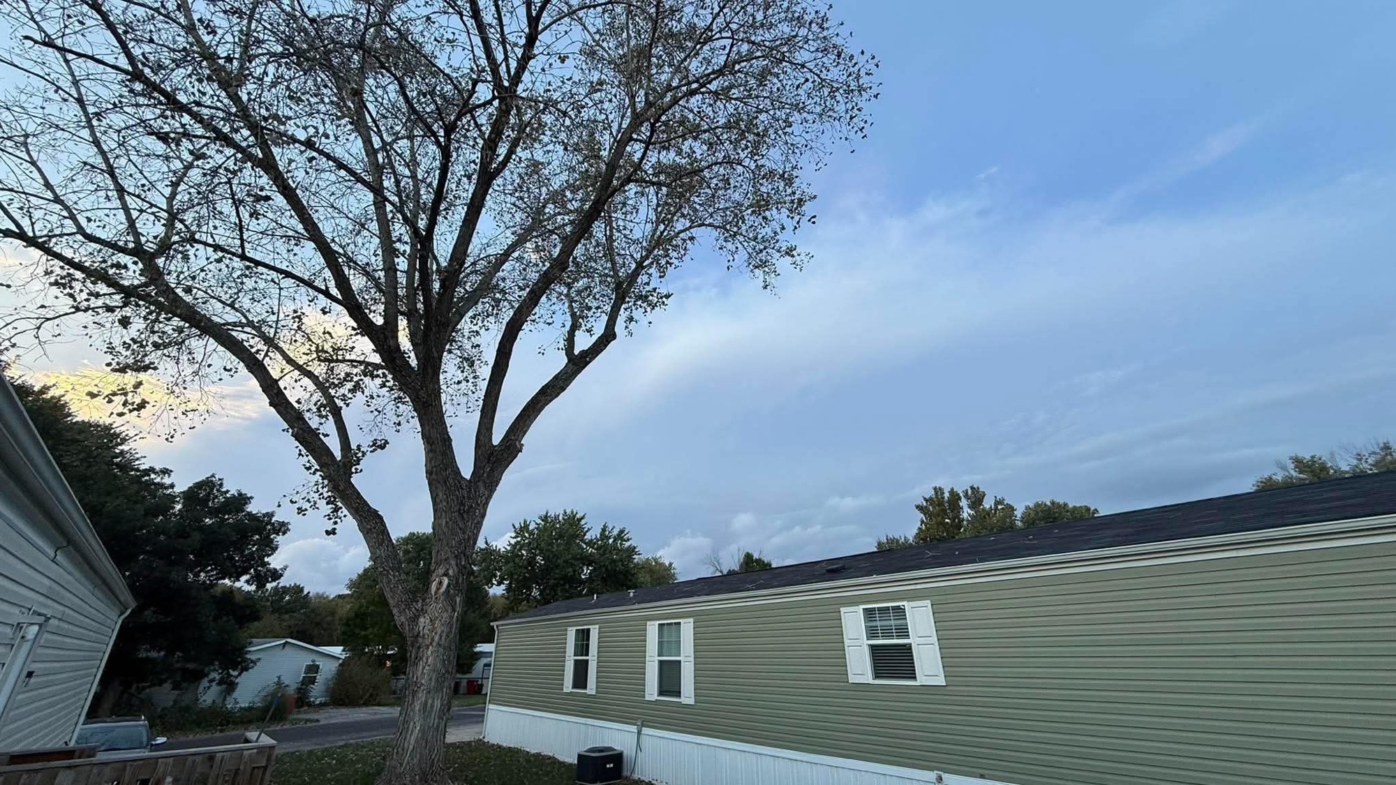 Wide view of a tree and neighborhood beneath streaked evening clouds