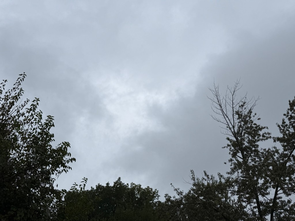 Smooth gray rainy evening sky framed by trees in Raytown