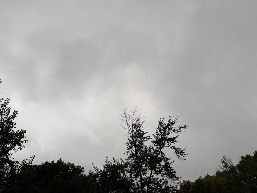 Soft uniform gray evening overcast above silhouetted trees in Raytown