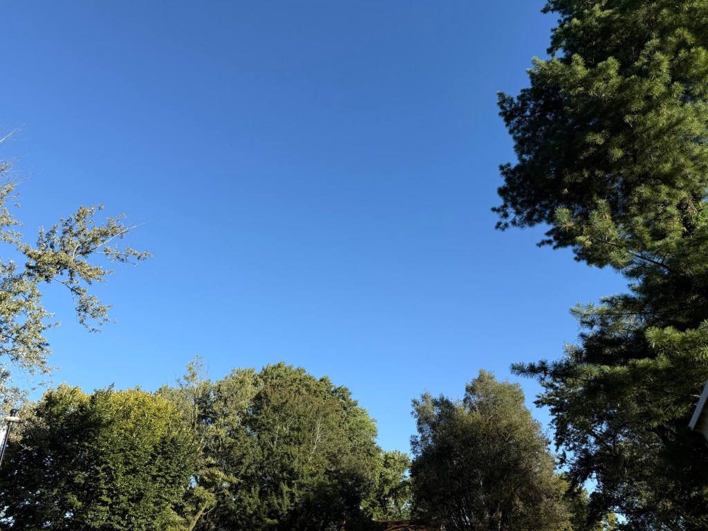 Clear blue October morning sky framed by trees in Raytown, Missouri