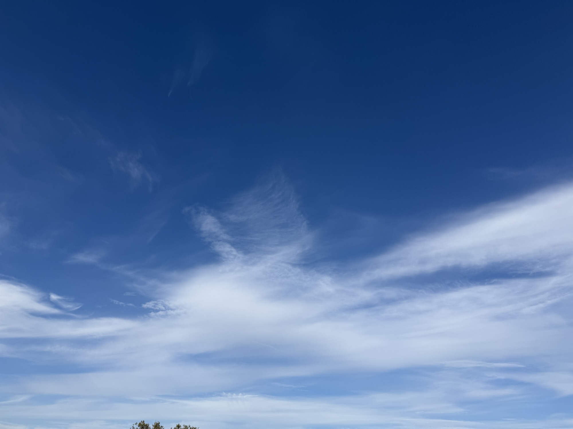 High wispy white clouds across a blue afternoon sky above a roadside and trees.