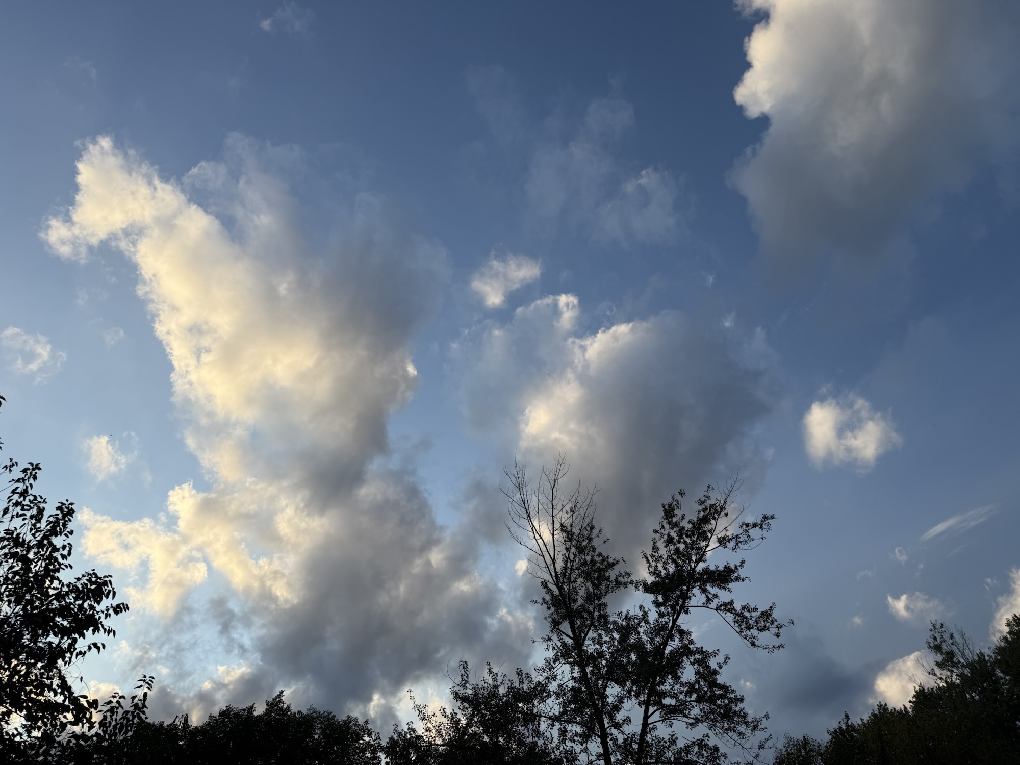 Golden-edged cumulus clouds rising above dark trees in Raytown