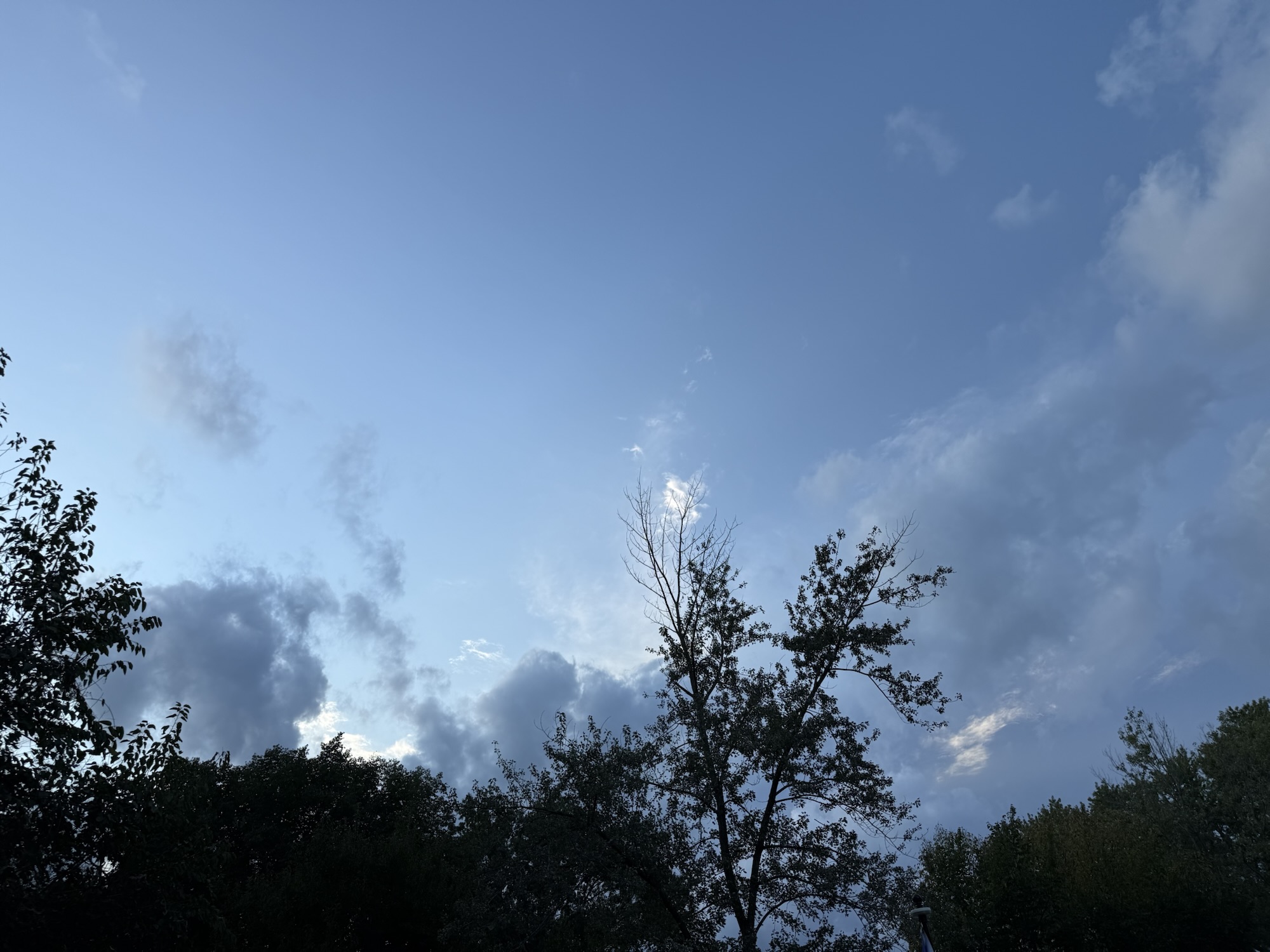 Blue sky with ragged dark clouds above a silhouetted tree