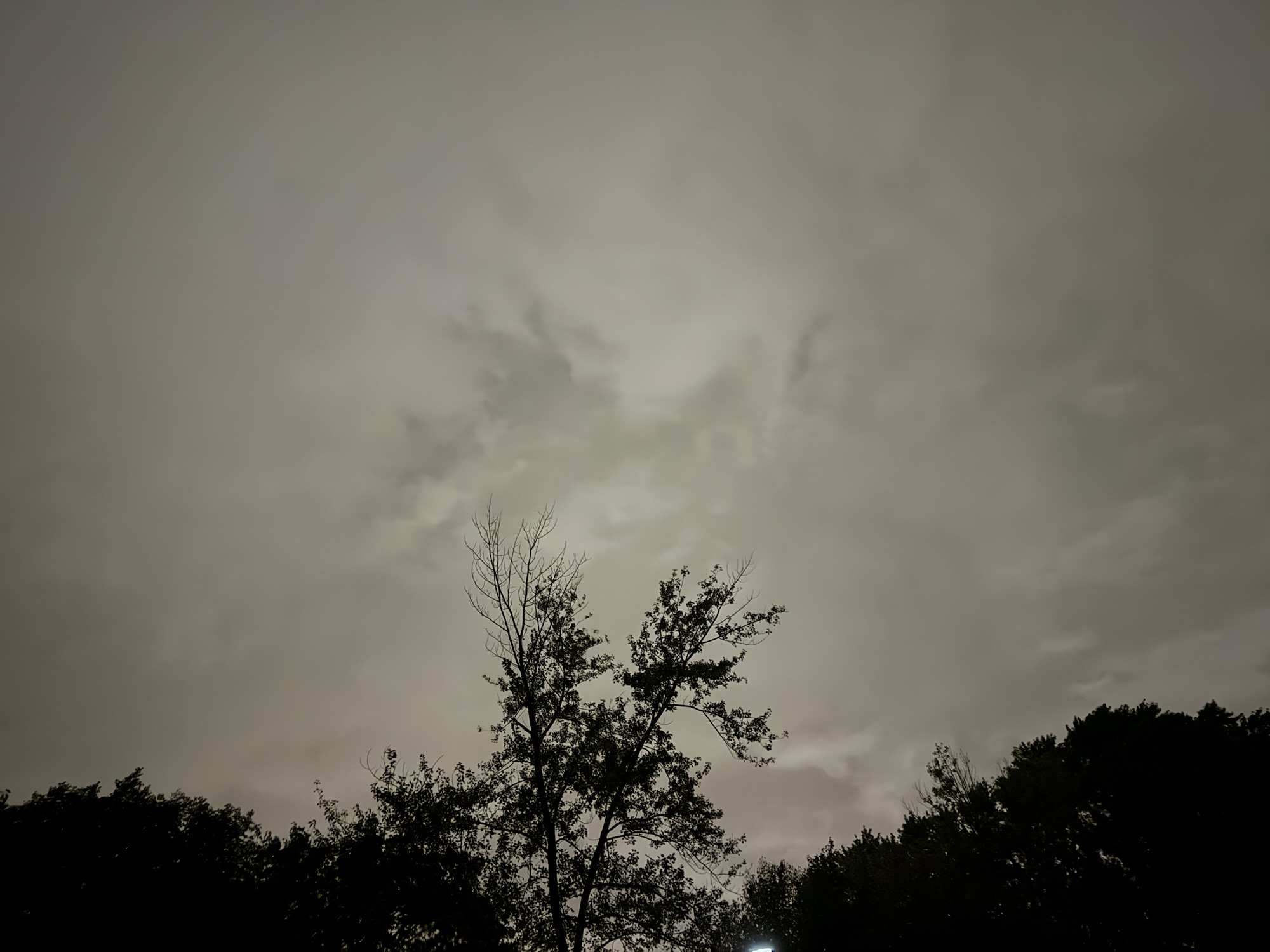 Nearly overcast gray evening sky above the same silhouetted tree in Raytown