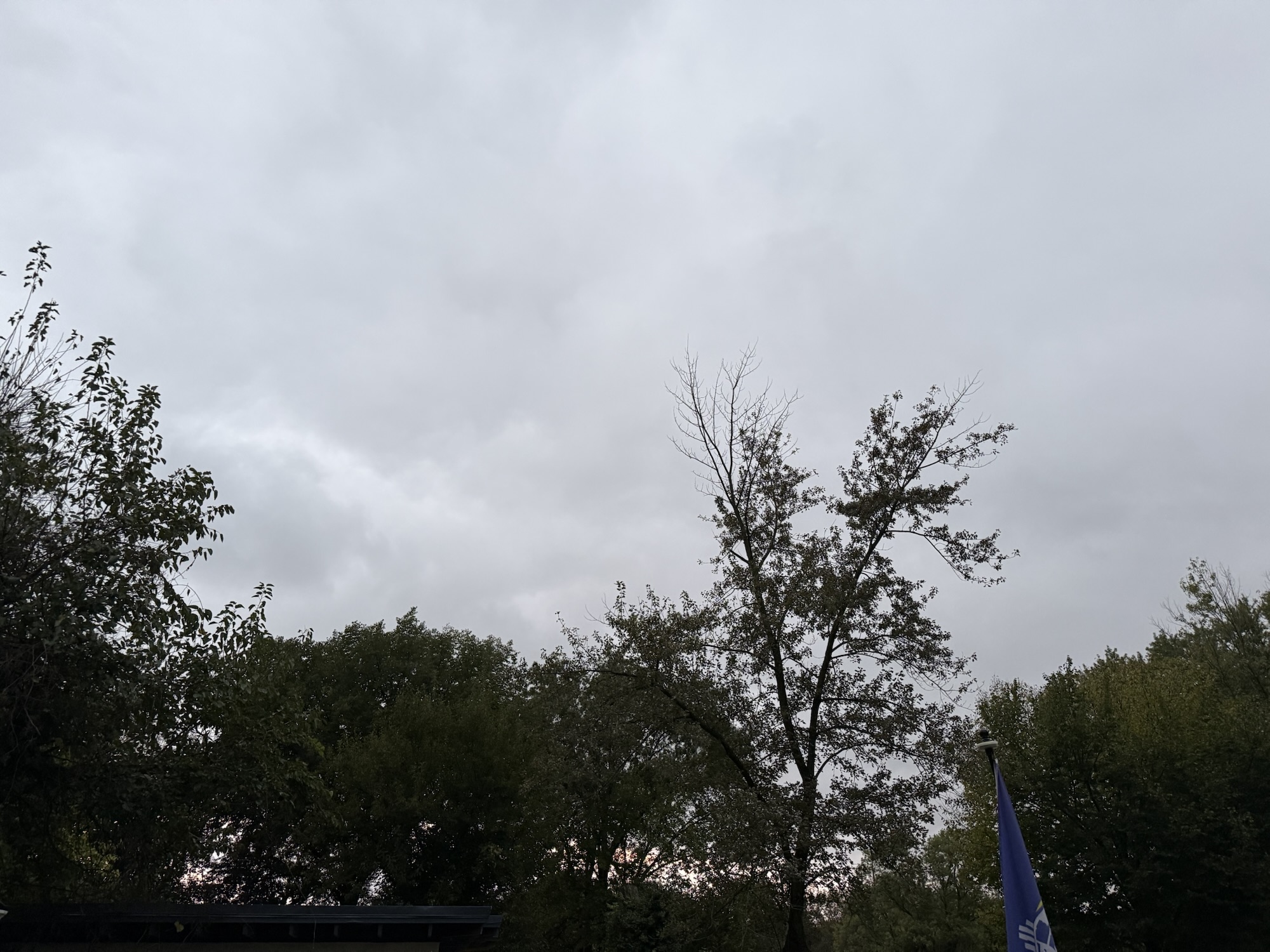 Gray evening clouds above autumn trees in Raytown, Missouri