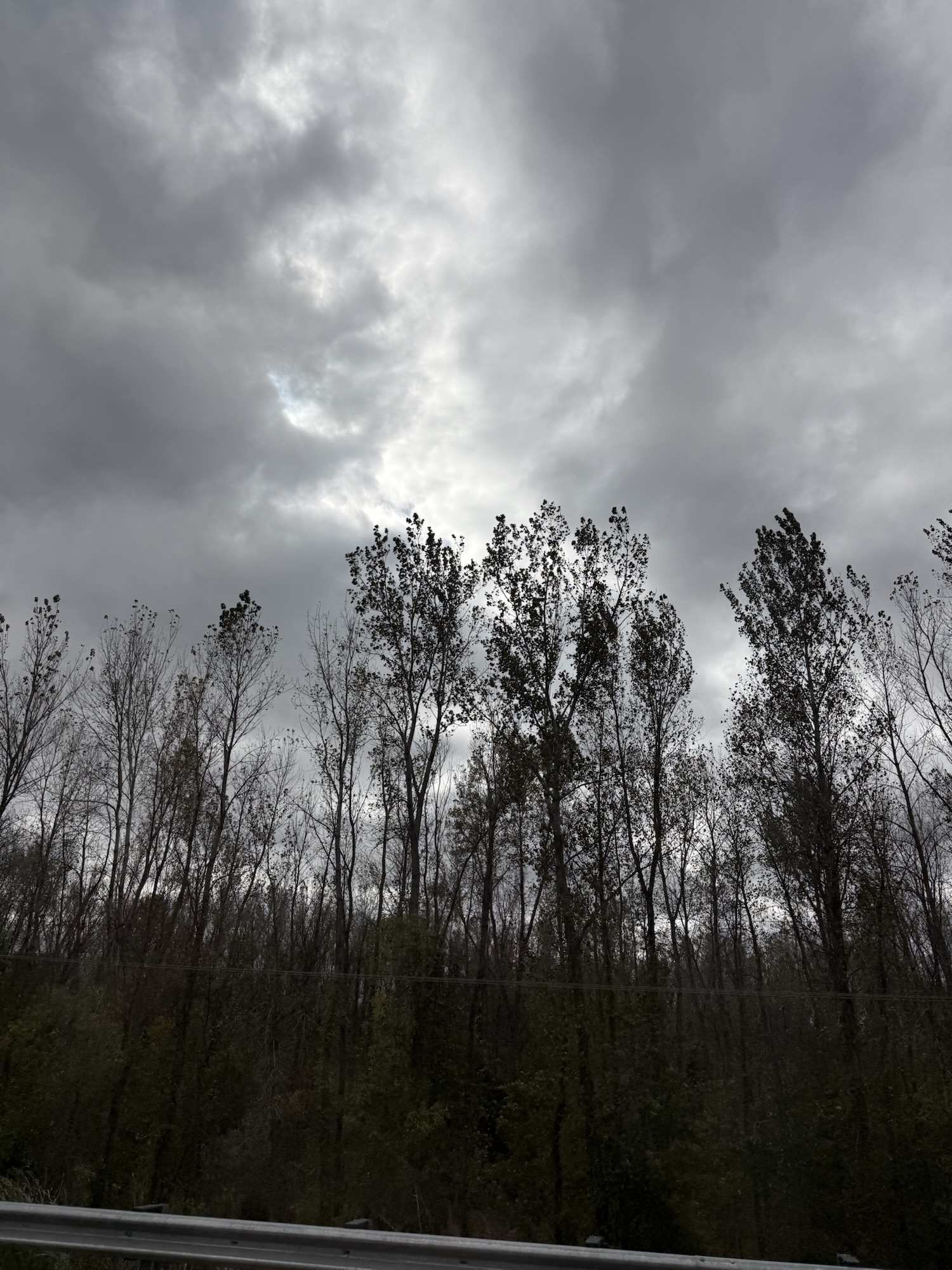 Gray clouds and a bright opening over autumn trees